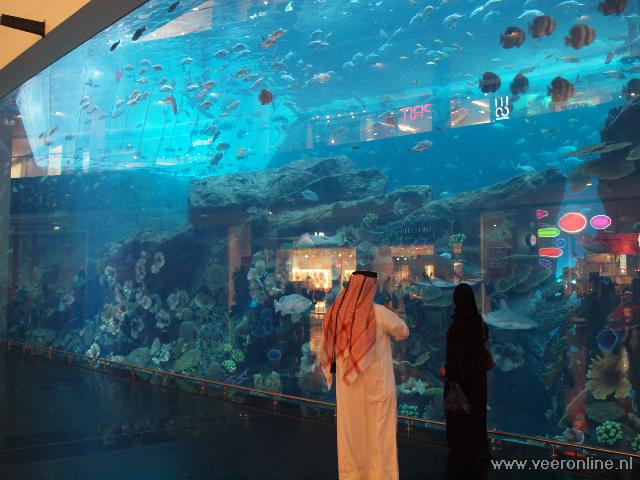 Het grootste aquarium ter wereld staat in Dubai